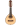 foto bandurria